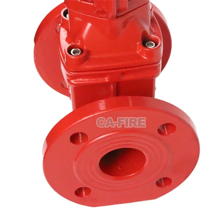 CA-FIRE Flanged Rising Stem Gate Valve Durable Fire Protection Valve best
