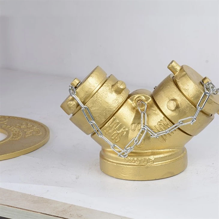 Fire Department Siamese Connection Valve
