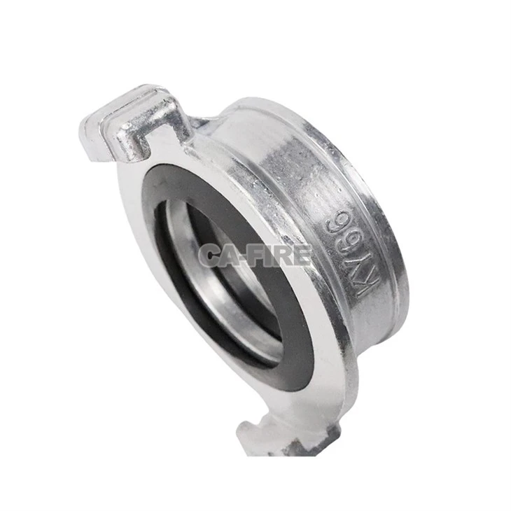 Gost 2 Lugs Adaptor