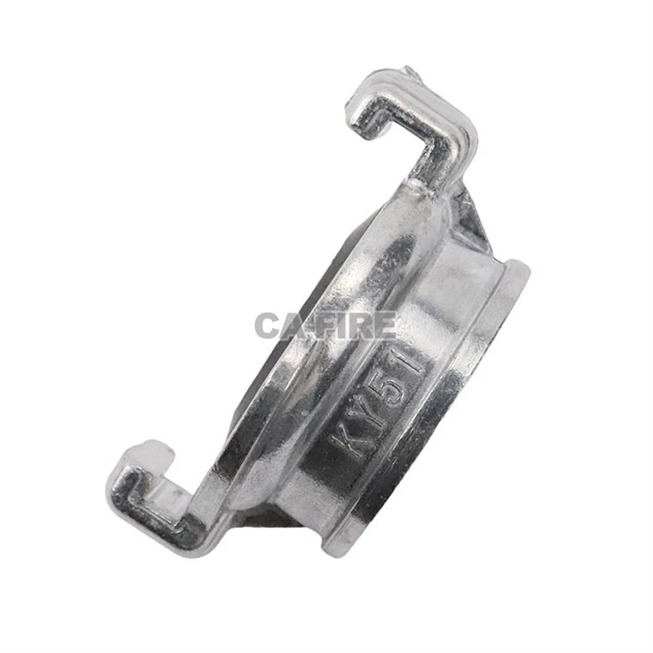 Gost 2 Lugs Adaptor