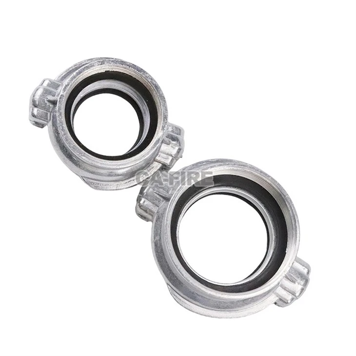 Gost 2 Lugs Adaptor