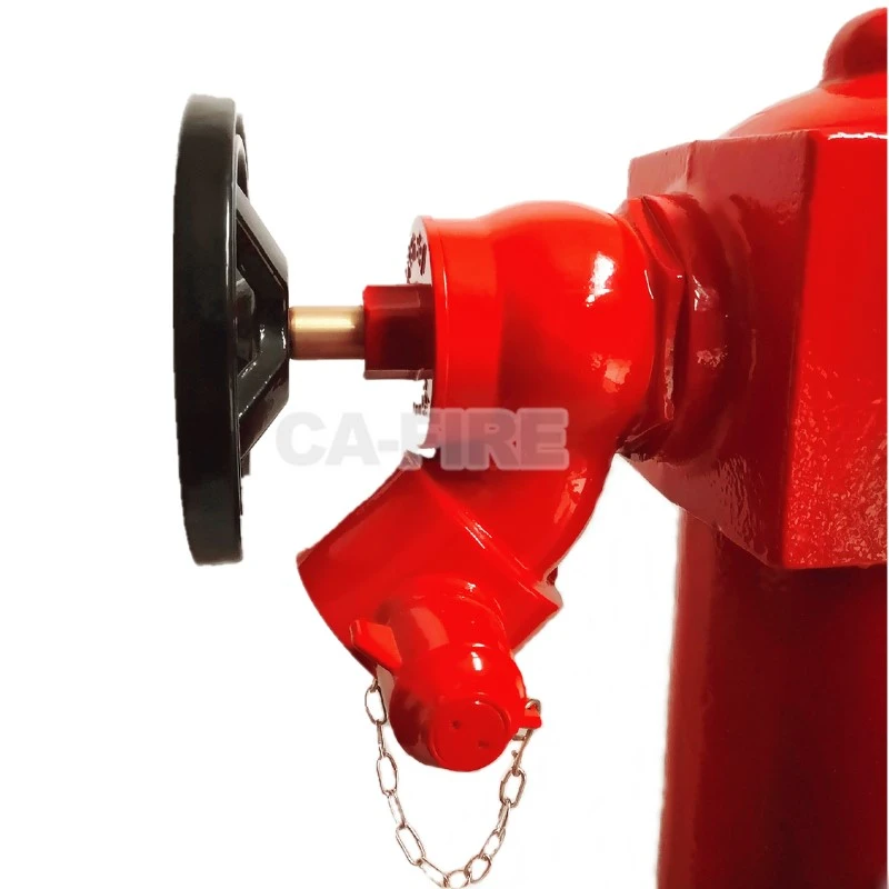 product-800-800